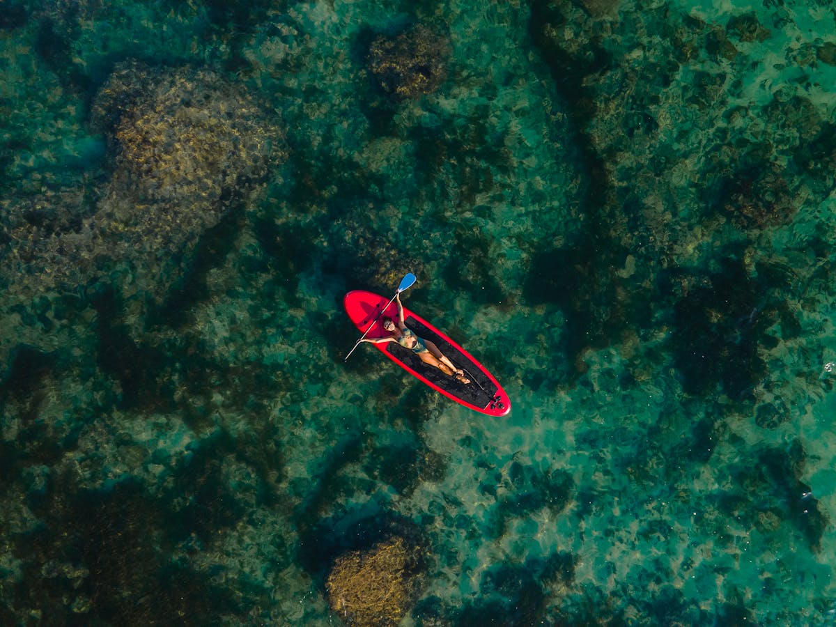 Water sports activities including paddleboarding and kayaking at Barcelona beaches