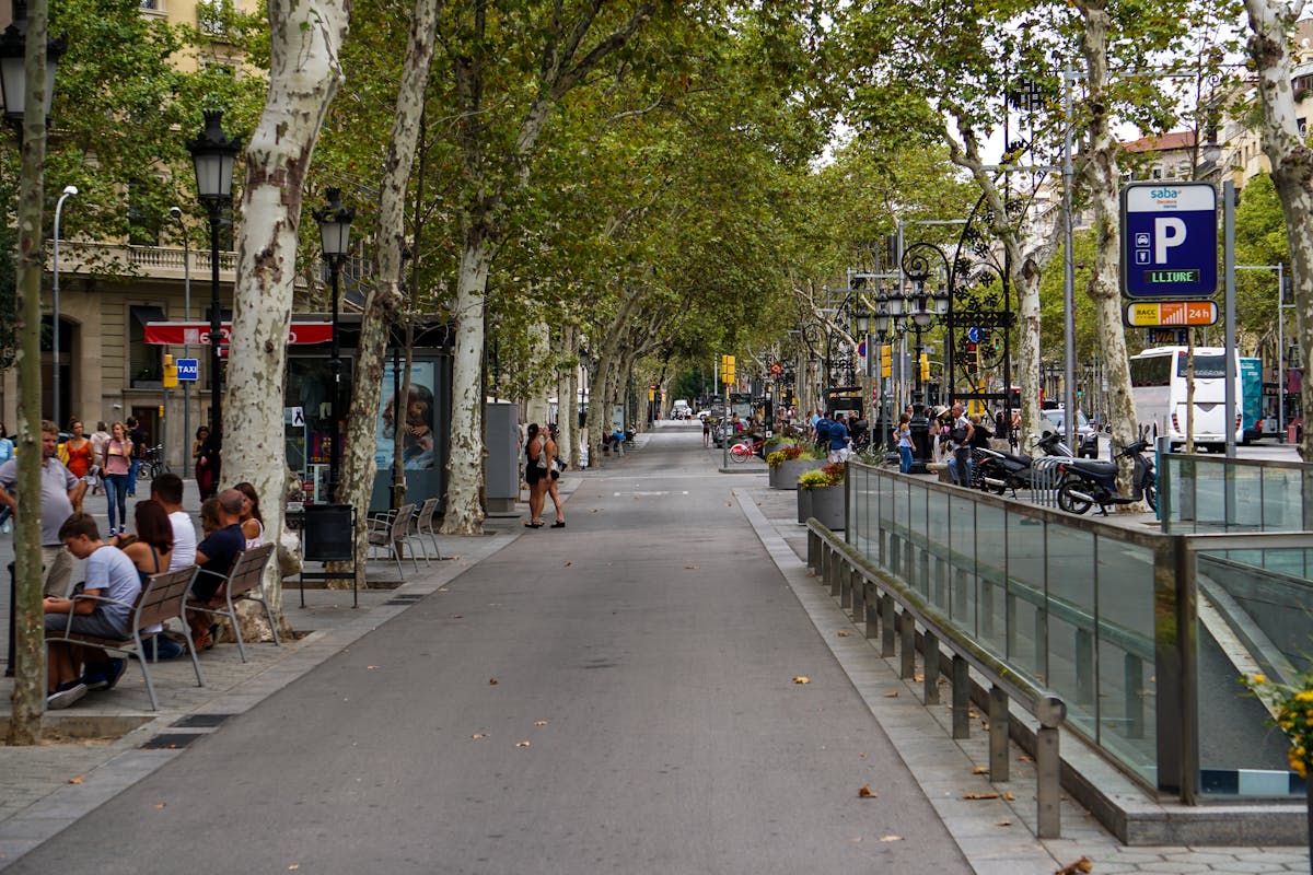 People walking along the tree-lined Las Ramblas boulevard in central Barcelona during the day