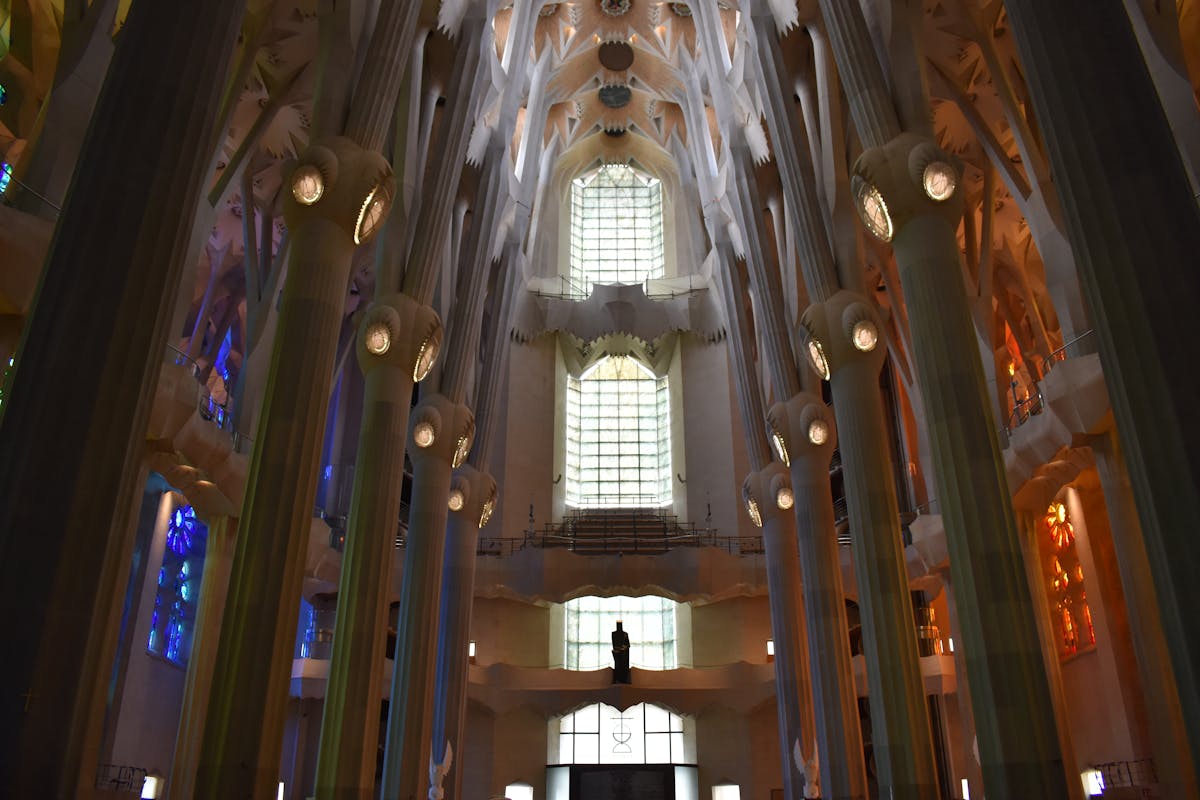 Interior of the Sagrada Familia basilica showing tree-like columns and colourful stained glass light
