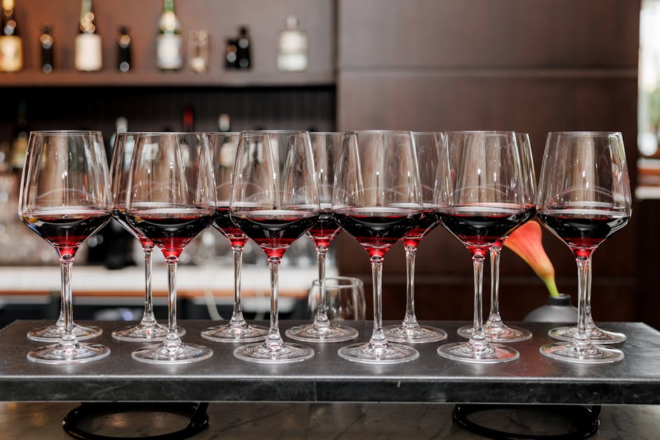 A wine bar in Barcelona's old town with bottles lining the wall and people enjoying glasses of red wine