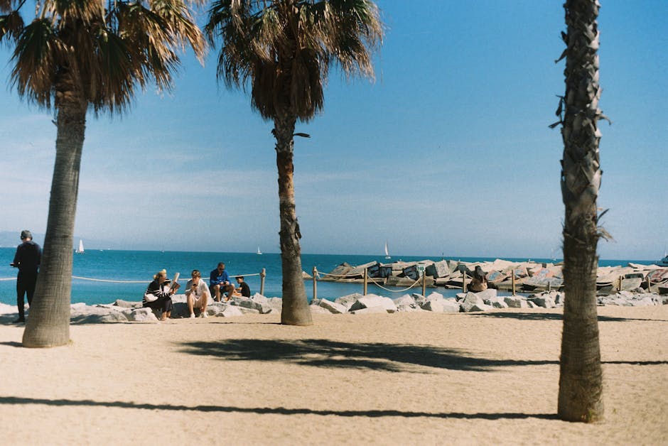 Bogatell beach in Barcelona with wide sand, palm trees and bicycles on the boardwalk