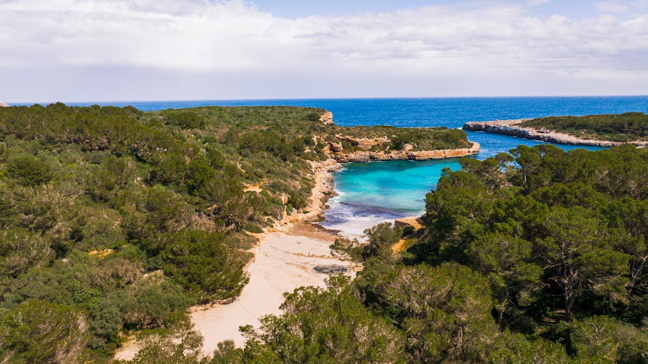 A turquoise Costa Brava cove surrounded by pine-covered cliffs and a small white sandy beach
