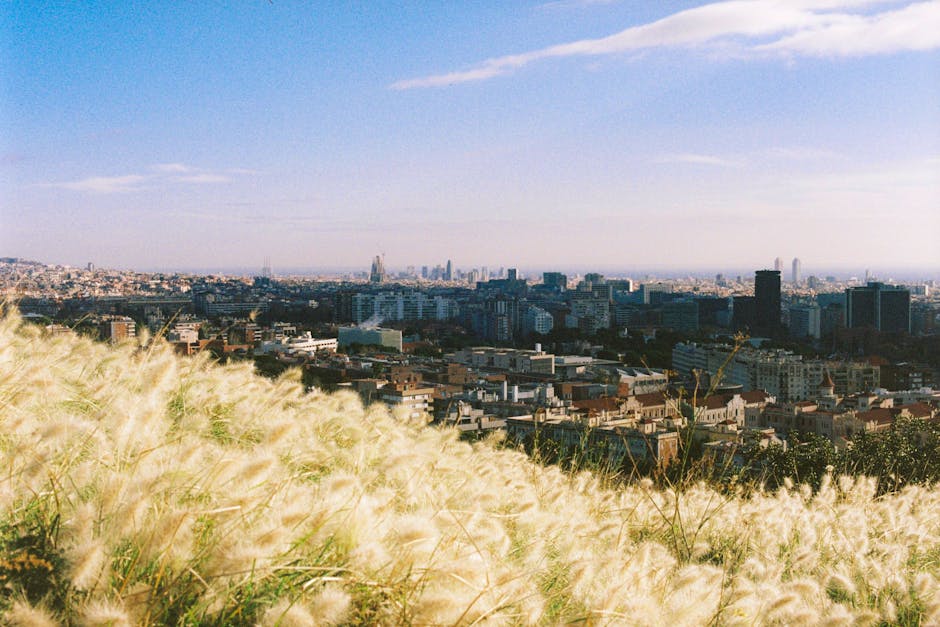 A panoramic view of Barcelona showing the Sagrada Familia and the Eixample