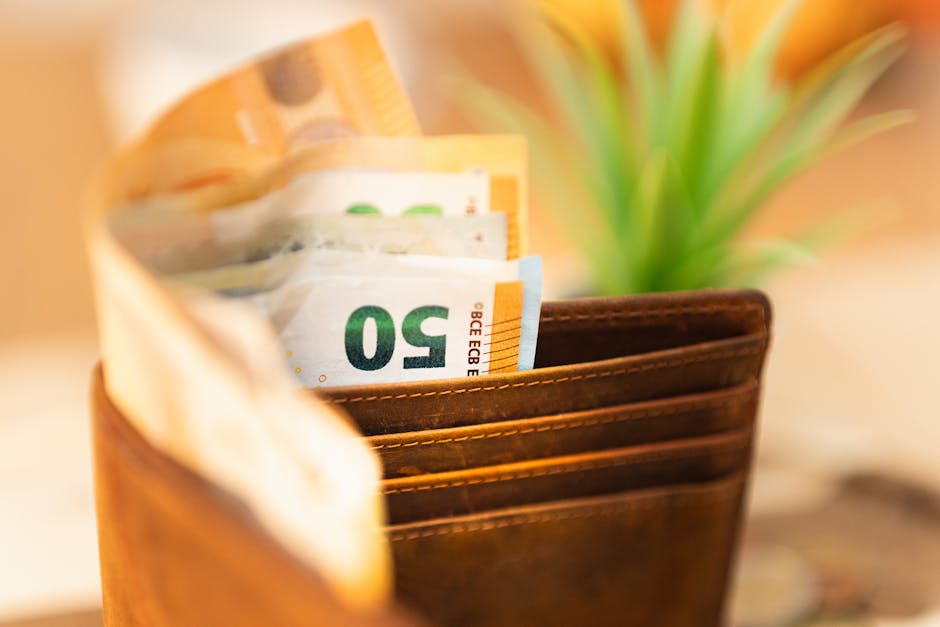 A wallet with euro banknotes and a Barcelona transit card