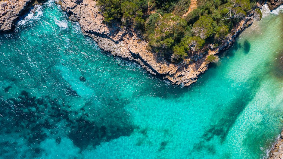 A small sandy cove on the Costa Brava with clear turquoise water