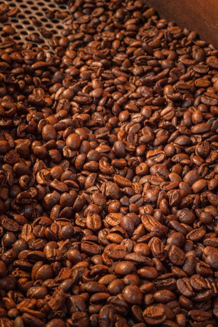 Roasted arabica coffee beans displayed at a Barcelona coffee shop