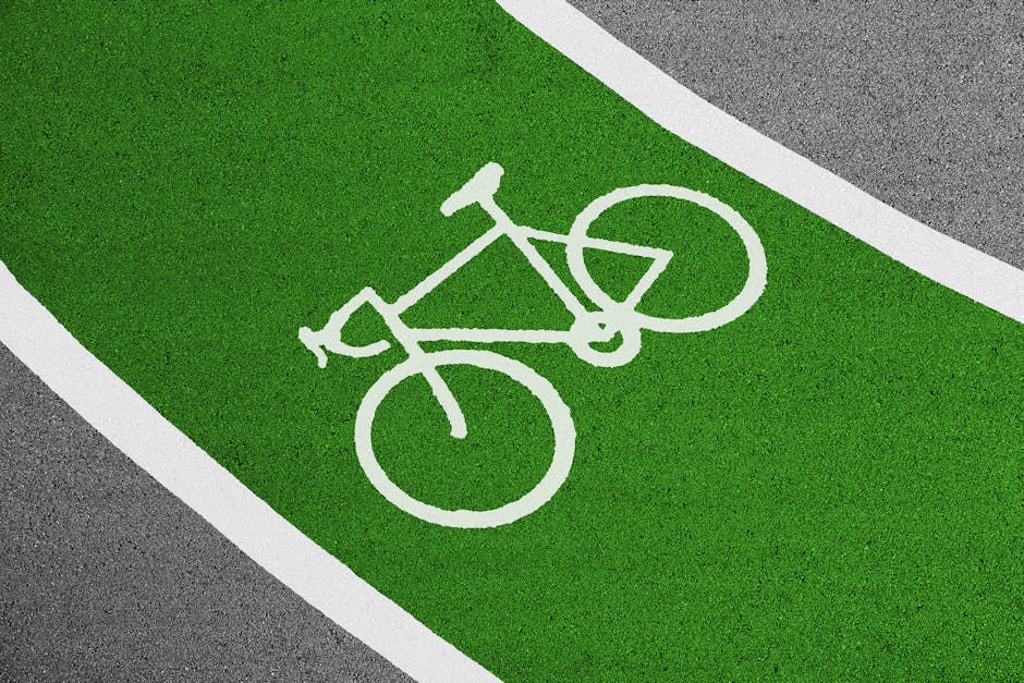 A cyclist riding along a coastal bike path with the sea visible