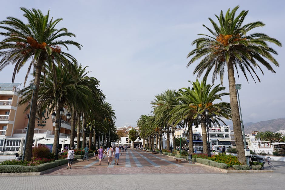 The Rambla del Raval pedestrian boulevard with palm trees