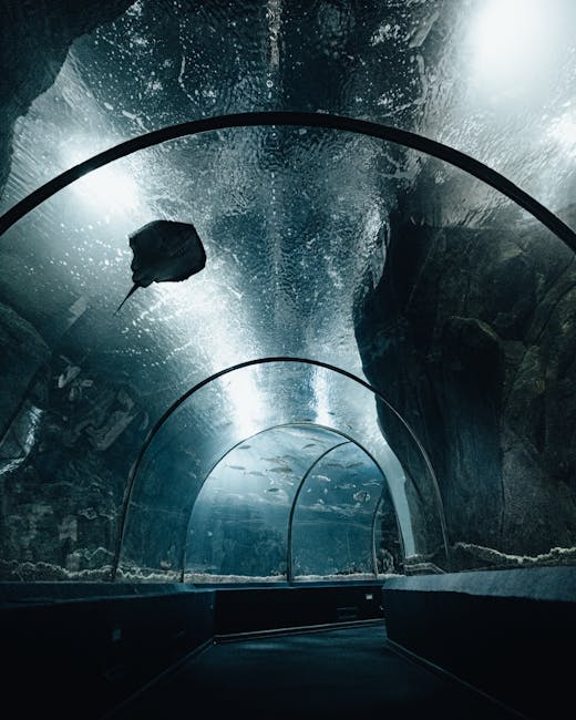 Children walking through the underwater tunnel of Barcelona Aquarium