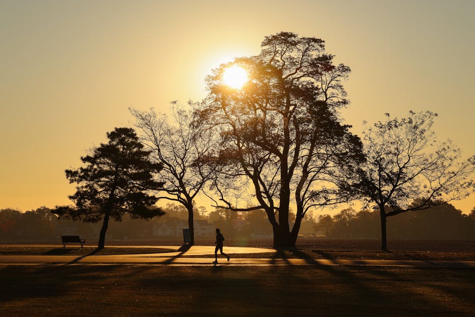 A jogger running through a Barcelona park in the early morning