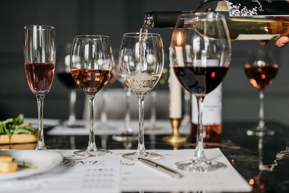 A wine tasting at a Penedes winery with several glasses of cava and wine