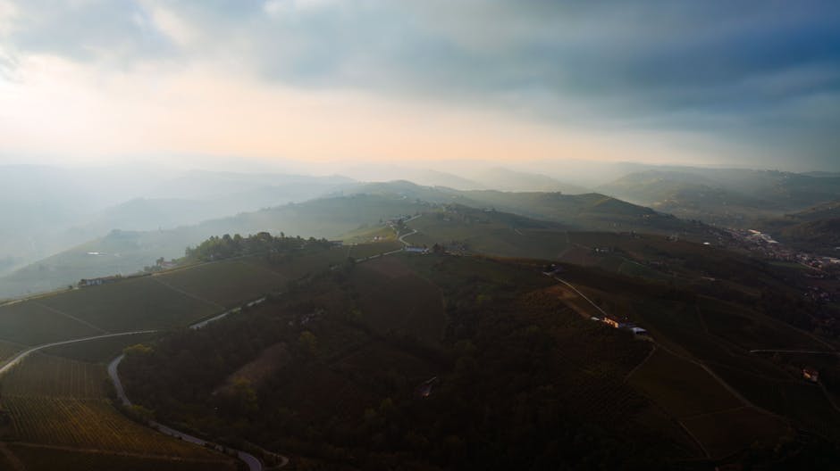The vineyards of the Penedes wine region in Catalonia
