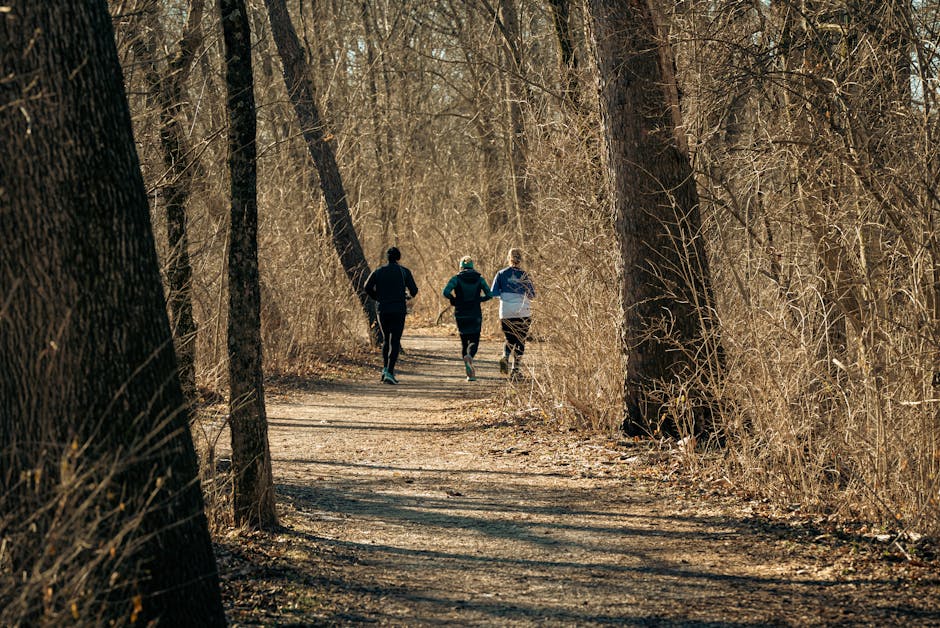 running-park-trail-city