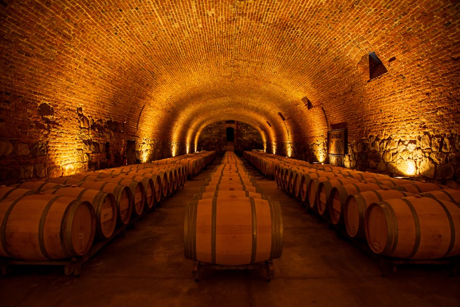 A traditional wine cellar with rows of oak barrels
