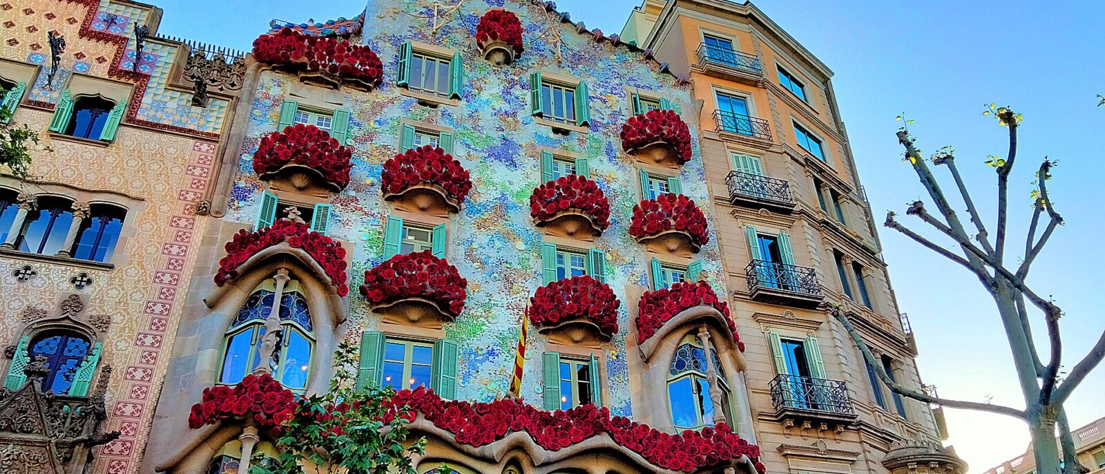The facade of Casa Batllo on Passeig de Gracia with its balconies covered in red roses for Sant Jordi