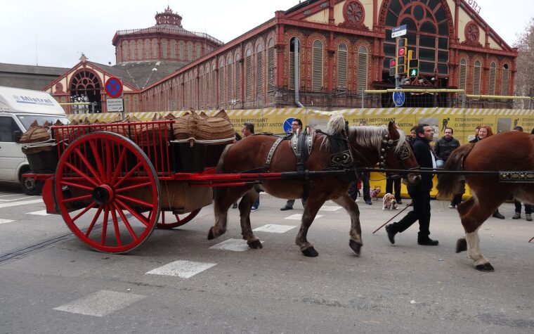Horses pulling a red cart past the Mercat de Sant Antoni during the Tres Tombs parade in January