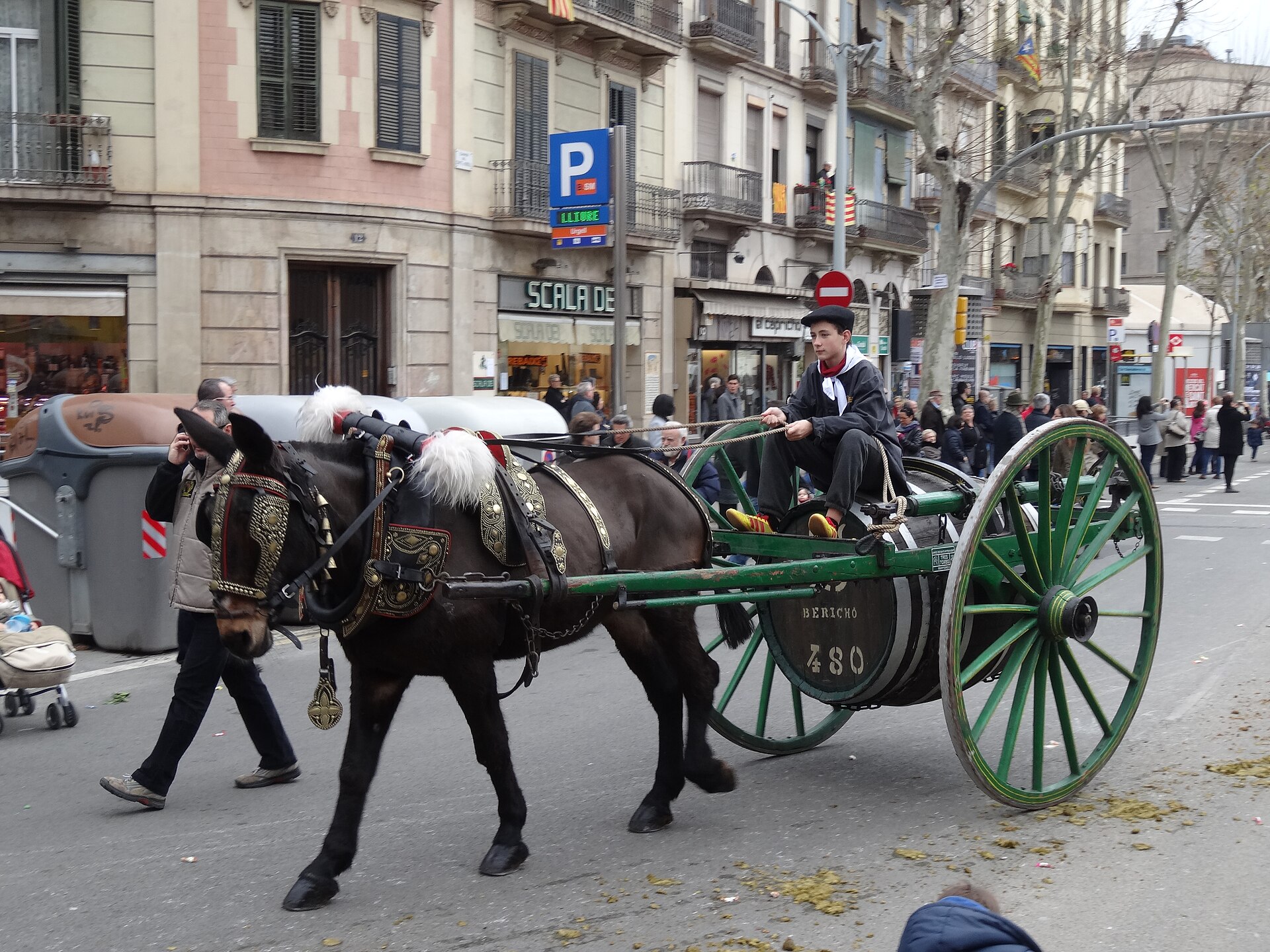 A horse pulling a green cart with a wine barrel, driven by a young man in traditional dress, at the Tres Tombs parade in Sant Antoni