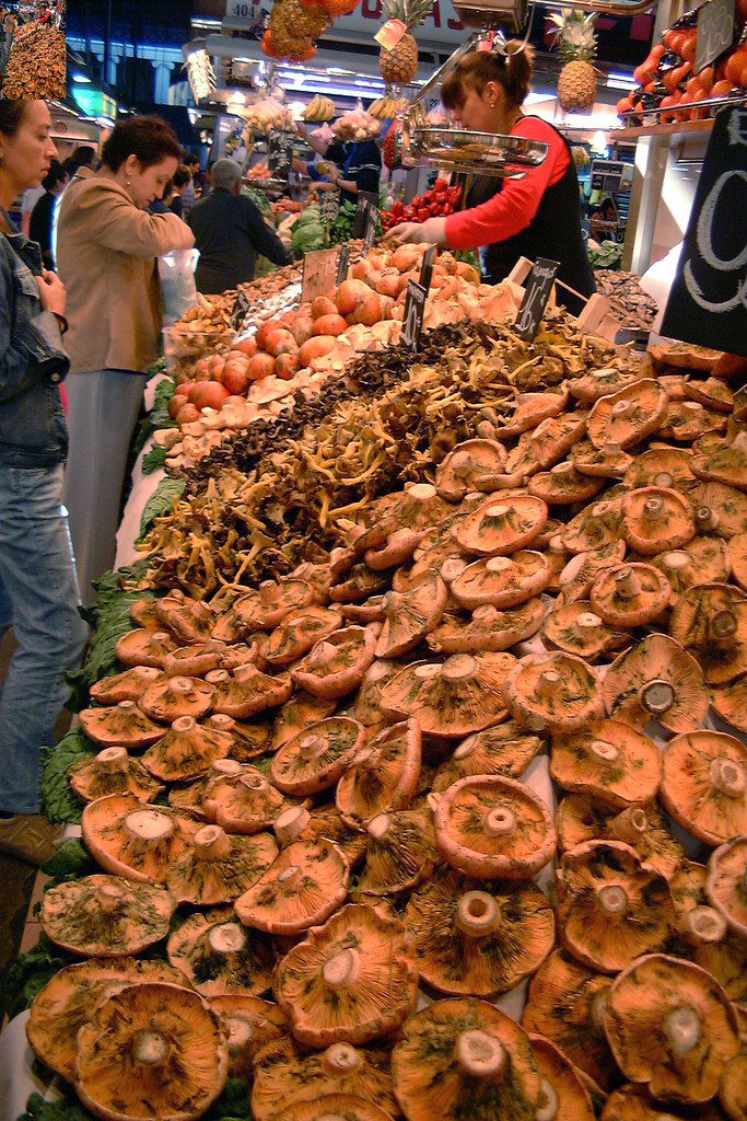 A market stall piled high with orange saffron milk cap mushrooms and other wild mushrooms